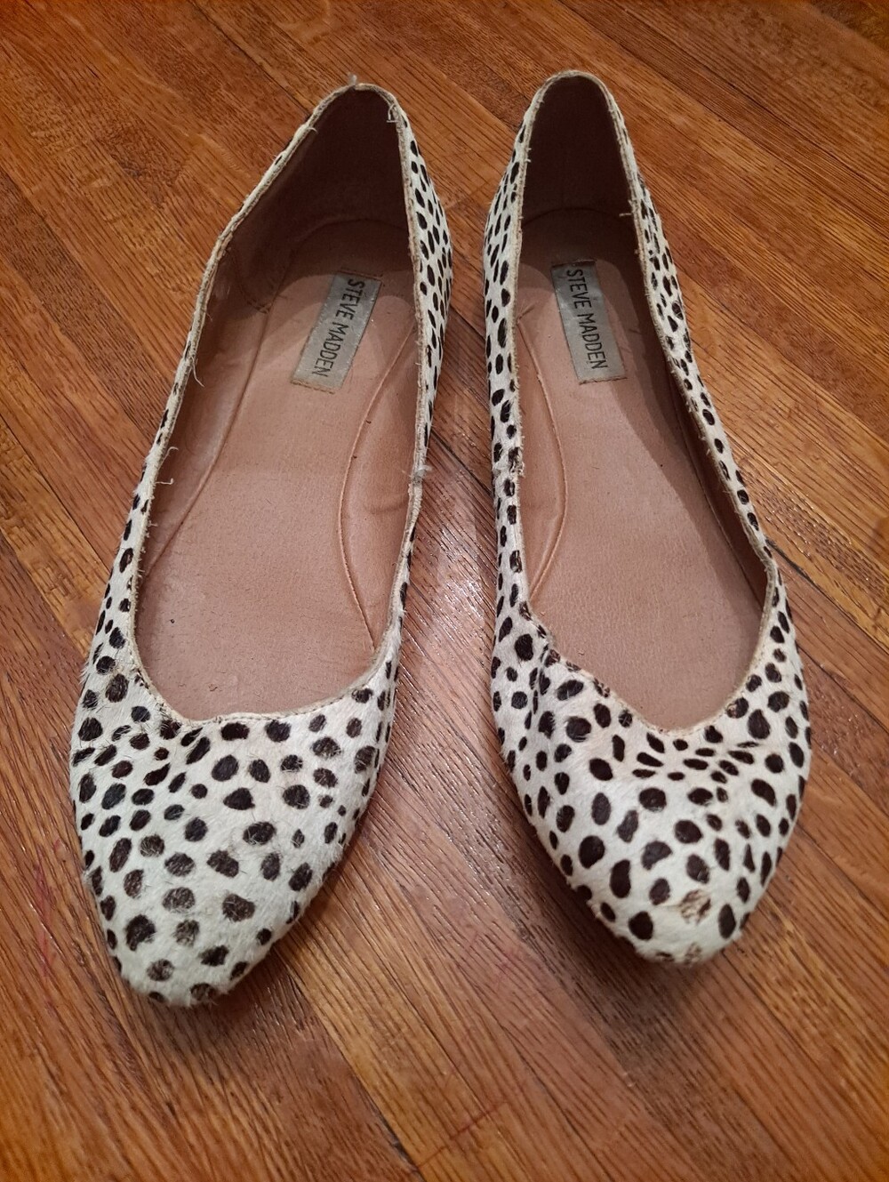 Steve Madden Dalmatian Spot Pointed Toe Flats in White and Black